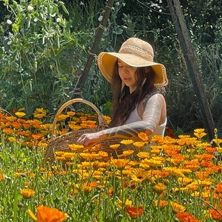 Woman picking calendula blossoms on Island Thyme Farm