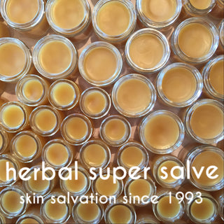 An overhead view of small glass jars filled with golden salve. Text reads: Herbal Super Salve – a multipurpose skin healer and trusted skin salvation since 1993.