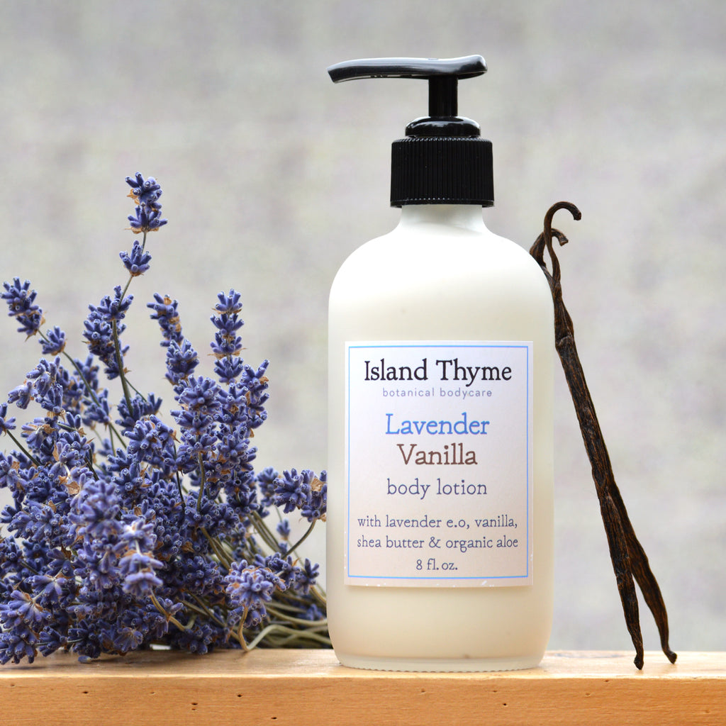 the potted plant vanilla chai lotion Lavender Vanilla Lotion – Island Thyme