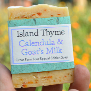 A hand holds a bar of Calendula Goat’s Milk Soap, with a blurred background of calendula flowers.