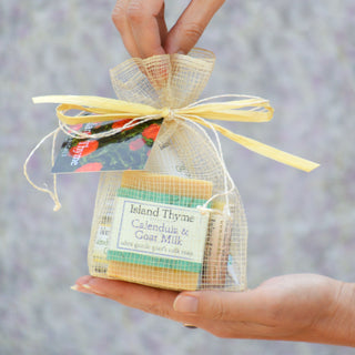 A hand holds the Calendula Gift Set—Island Thyme Goat Milk Soap and bath items in a small mesh bag with a yellow ribbon and floral tag—making it the perfect gift for any occasion.