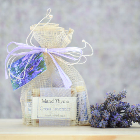 Lavender Vanilla Lotion – Island Thyme