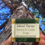 Spruce & Cedar Soap