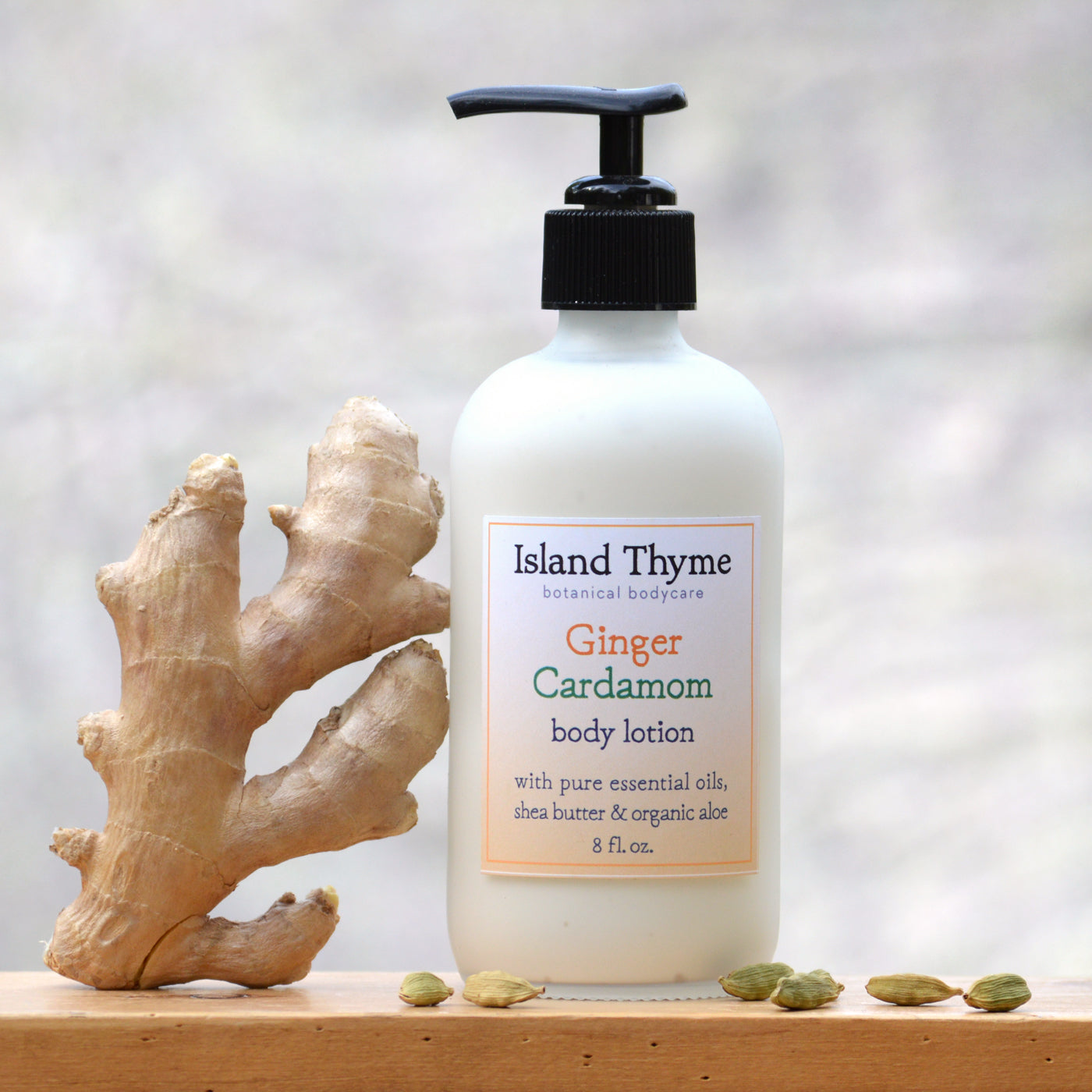 the potted plant vanilla chai lotion Ginger Cardamom Lotion 1.8 oz Travel Size